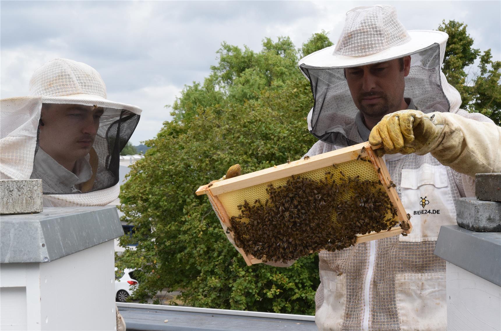 2023-07 DiCV thh Devid Dondorf Philippe Gatzen