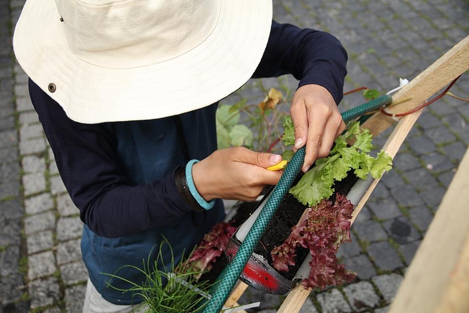 Archimedische Werkstatt 2021: Vertical Farming