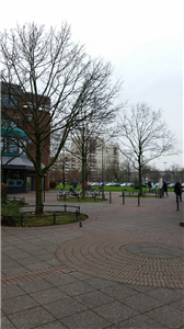 Eine Parkanlage innerhalb einer Plattenbausiedlung in Köln-Chorweiler