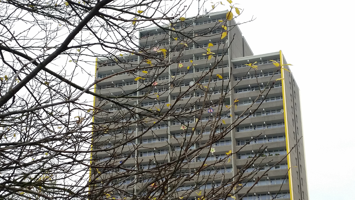 Die Aufnahme eines Plattenbaus im Stadtteil Köln-Chorweiler, bei der das Gebäude durch die Äste eines Baums teilweise verdeckt wird