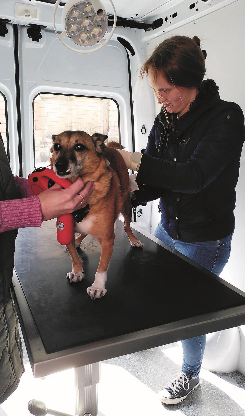 Tierarztmobil Hannover 2